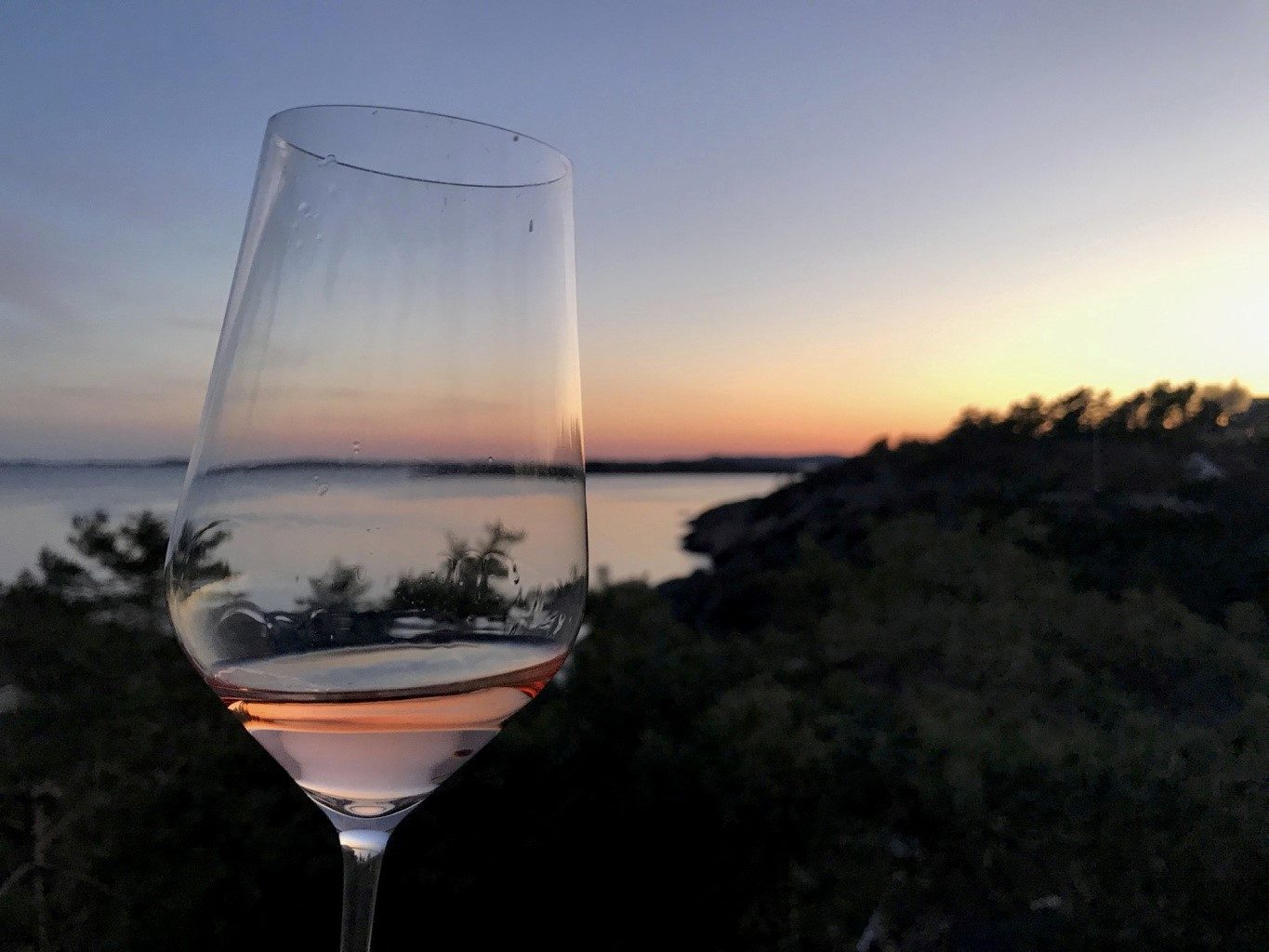 Det har sneket seg inn noen gode roséviner både i basisnyhetene og bestillingsutvalget. Foto: Geir Salvesen