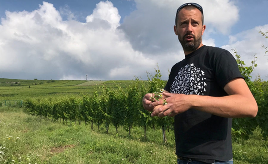 Paul McKirdy er skotte, men entusiastisk vinmaker hos Alsace-produsenten Zind-Humbrecht. Septemberslippet inkluderer en Gewurztraminer fra denne kultprodusenten. Foto: Geir Salvesen