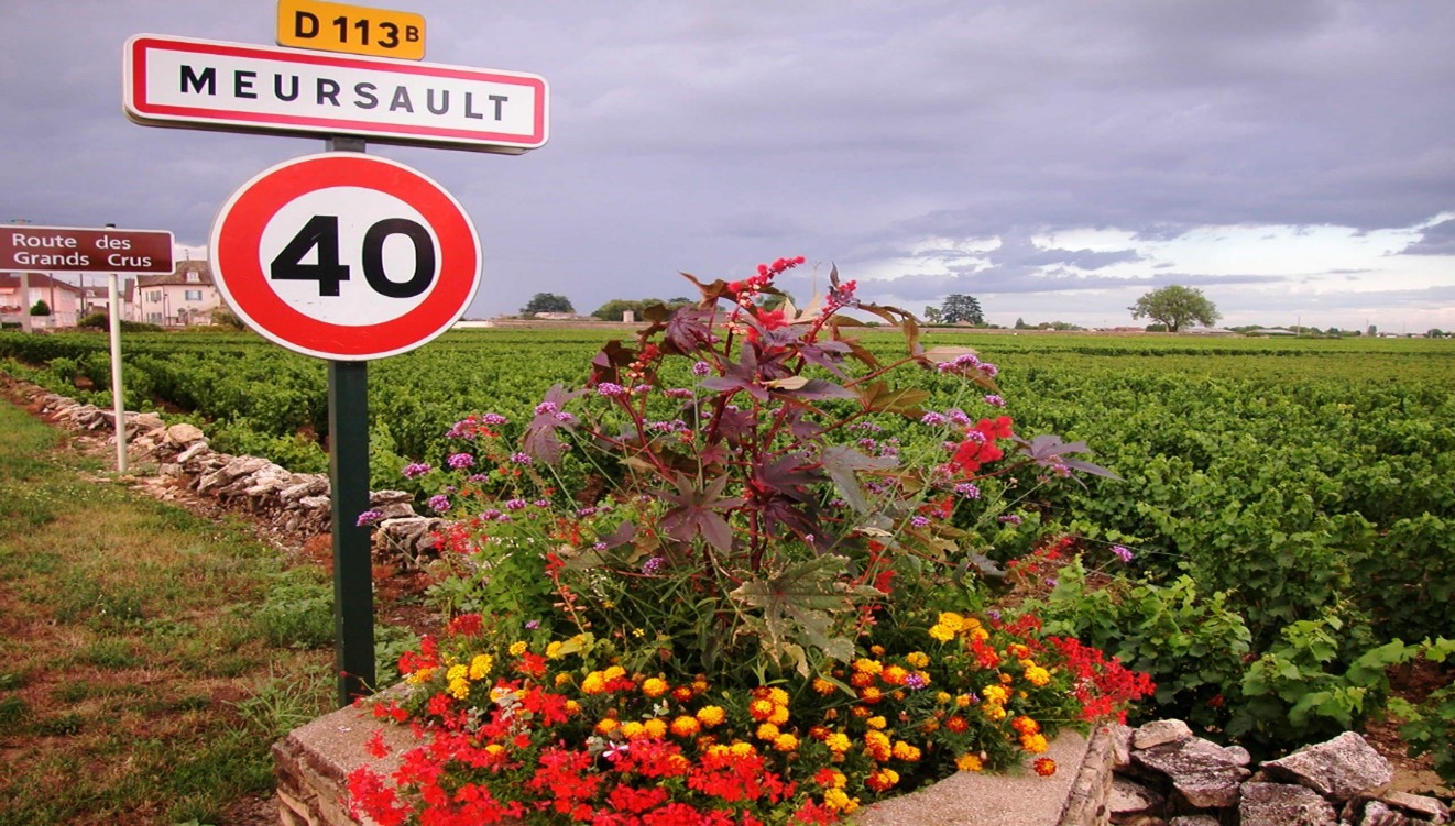 Hurra, en moden, hvit Meursault