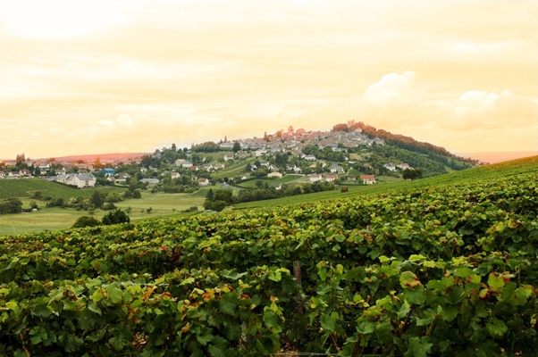Sancerre i kveldslys. Herfra kommer det god Sauvignon Blanc. Og faktisk også Pinot Noir. Foto: Geir Salvesen